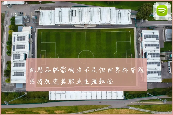 凯恩品牌影响力不足但世界杯夺冠或将改变其职业生涯轨迹